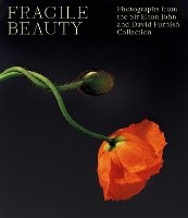 Book Cover for Fragile Beauty by Elton John