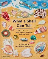 Book Cover for What a Shell Can Tell by Helen Scales