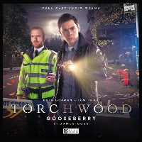 Book Cover for Torchwood #49 Gooseberry by James Goss