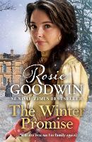 Book Cover for The Winter Promise by Rosie Goodwin