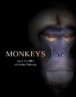 Book Cover for Monkeys by Tom Jackson