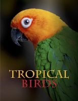 Book Cover for Tropical Birds by Tom Jackson