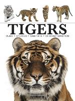 Book Cover for Tigers by Paula Hammond