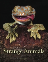 Book Cover for Strange Animals by Tom Jackson