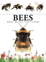 Book Cover for Bees by Tom Jackson