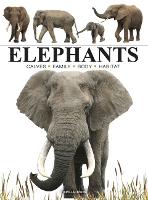 Book Cover for Elephants by Tom Jackson