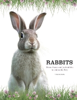 Book Cover for Rabbits by Tom Jackson