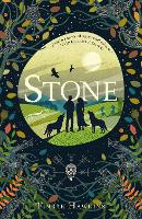 Book Cover for Stone by Finbar Hawkins