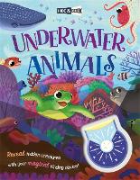 Book Cover for Hide-and-Seek Underwater Animals by Igloo Books