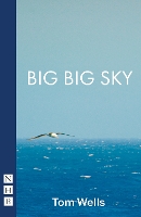 Book Cover for Big Big Sky by Tom Wells