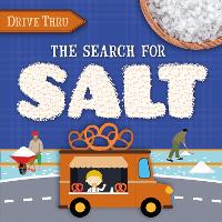 Book Cover for The Search for Salt by Shalini Vallepur