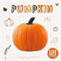 Book Cover for Pumpkin by Kirsty Holmes