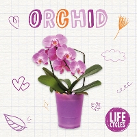 Book Cover for Orchid by Brenda McHale