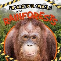 Book Cover for Endangered Animals in the Rainforests by Emilie Dufresne