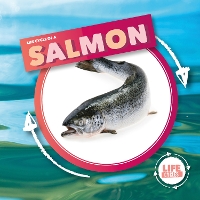 Book Cover for Life Cycle of a Salmon by Kirsty Holmes