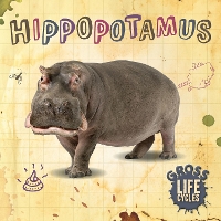 Book Cover for Hippopotamus by William Anthony