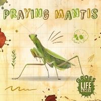 Book Cover for Praying Mantis by William Anthony, Amy Li