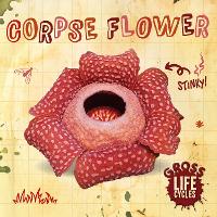 Book Cover for Corpse Flower by William Anthony