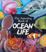 Book Cover for The Amazing Book of Ocean Life by Claudia Martin