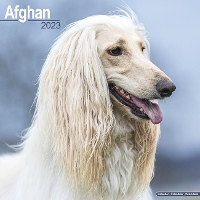 Book Cover for Afghan 2023 Wall Calendar by Avonside Publishing Ltd