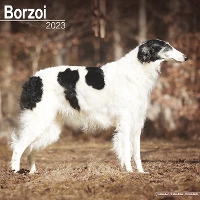 Book Cover for Borzoi 2023 Wall Calendar by Avonside Publishing Ltd