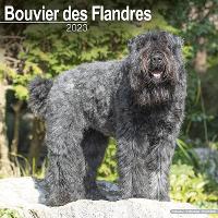 Book Cover for Bouvier Des Flandres (Euro) 2023 Wall Calendar by Avonside Publishing Ltd