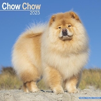 Book Cover for Chow Chow 2023 Wall Calendar by Avonside Publishing Ltd