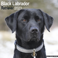Book Cover for Black Labrador Retriever 2023 Wall Calendar by Avonside Publishing Ltd