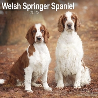 Book Cover for Welsh Springer Spaniel 2023 Wall Calendar by Avonside Publishing Ltd
