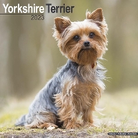 Book Cover for Yorkshire Terrier 2023 Wall Calendar by Avonside Publishing Ltd