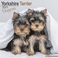 Book Cover for Yorkshire Terrier Puppies 2023 Wall Calendar by Avonside Publishing Ltd