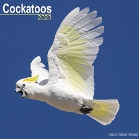 Book Cover for Cockatoos 2023 Wall Calendar by Avonside Publishing Ltd