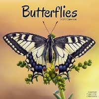 Book Cover for Butterflies 2023 Wall Calendar by Avonside Publishing Ltd