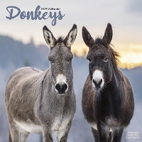 Book Cover for Donkeys 2023 Wall Calendar by Avonside Publishing Ltd
