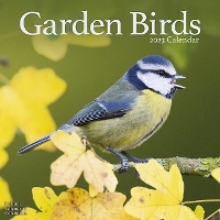 Book Cover for Garden Birds 2023 Wall Calendar by Avonside Publishing Ltd