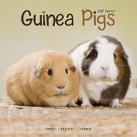 Book Cover for Guinea Pigs 2023 Wall Calendar by Avonside Publishing Ltd