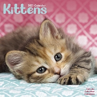 Book Cover for Kittens 2023 Wall Calendar by Avonside Publishing Ltd