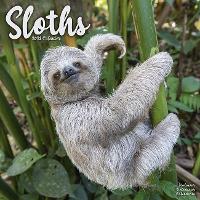 Book Cover for Sloths 2023 Wall Calendar by Avonside Publishing Ltd