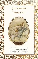 Book Cover for Peter Pan by J.M. Barrie, Judith John