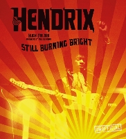 Book Cover for Jimi Hendrix by Hugh Fielder