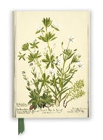 Book Cover for RBGE: Charlotte Cowan Pearson: Stitchworts, Woodruff and Pepperwort (Foiled Journal) by Flame Tree Studio