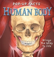 Book Cover for Human Body by Emily Hawkins, Sue Harris, Andy Mansfield, Kim Thompson, Ross Francis, Rachael Pery-Johnston