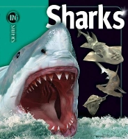 Book Cover for Sharks by Beverly McMillan