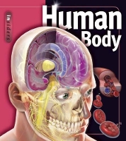 Book Cover for Human Body by Linda Calabresi