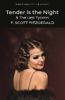 Book Cover for Tender is the Night / The Last Tycoon by F. Scott Fitzgerald, Henry (Senior Lecturer, School of English, University of Kent at Canterbury) Claridge