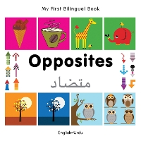 Book Cover for My First Bilingual Book - Opposites (English-Urdu) by Milet Publishing