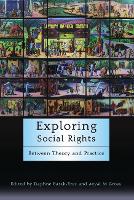 Book Cover for Exploring Social Rights by Daphne BarakErez