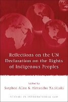 Book Cover for Reflections on the UN Declaration on the Rights of Indigenous Peoples by Stephen Allen