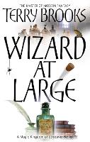 Book Cover for Wizard At Large by Terry Brooks