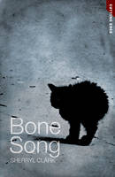 Book Cover for Bone Song by Sherryl Clark